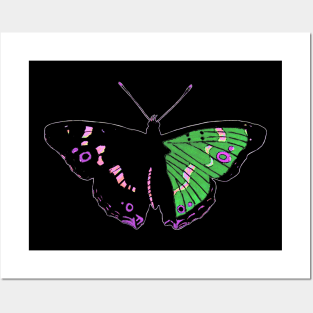 Butterfly 01d, transparent background Posters and Art